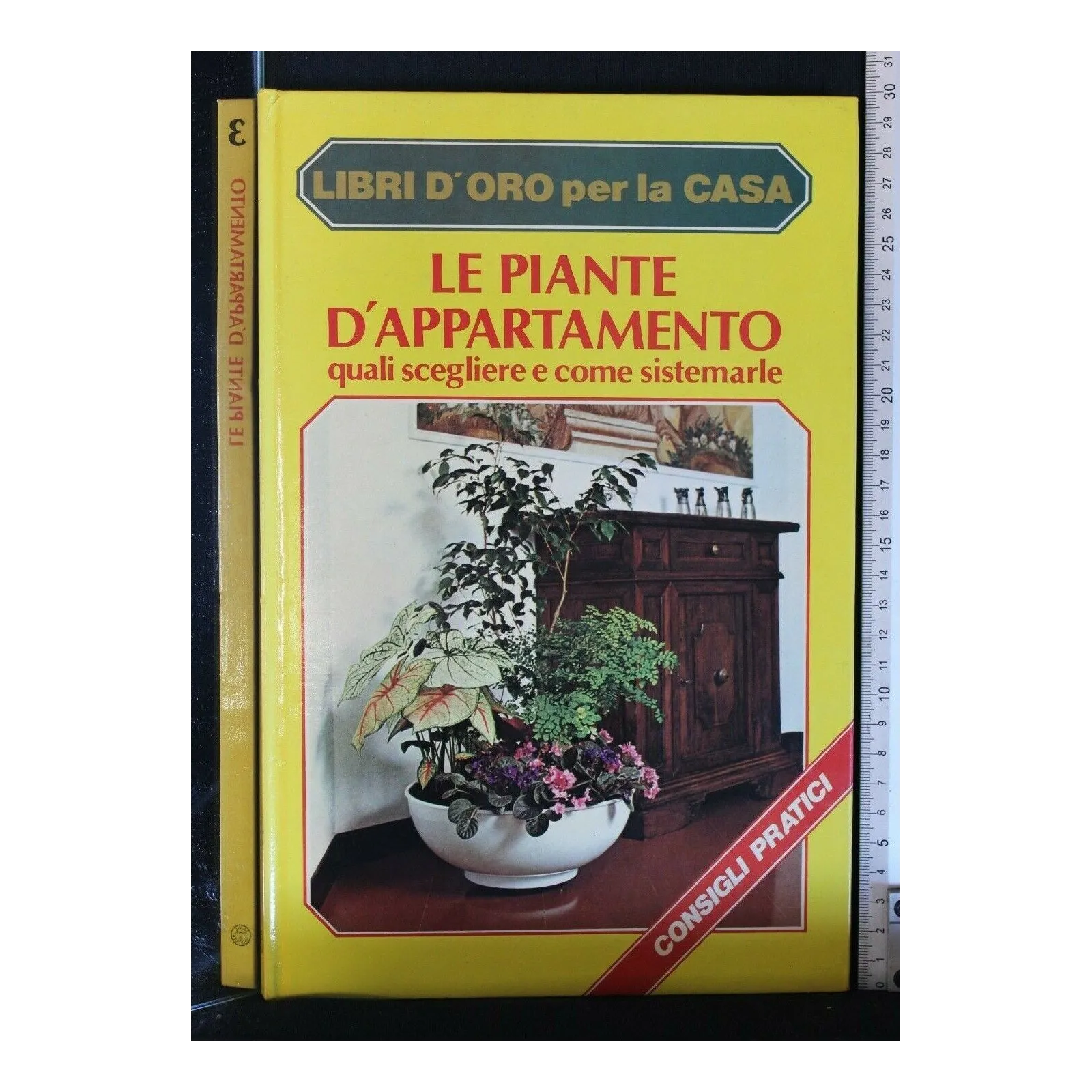 LE PIANTE D'APPARTAMENTO
