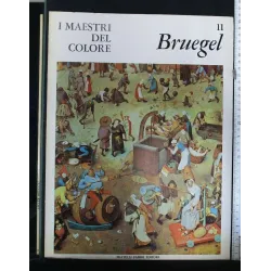 I MAESTRI DEL COLORE 11. BRUEGEL