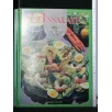 IN CUCINA LE INSALATE