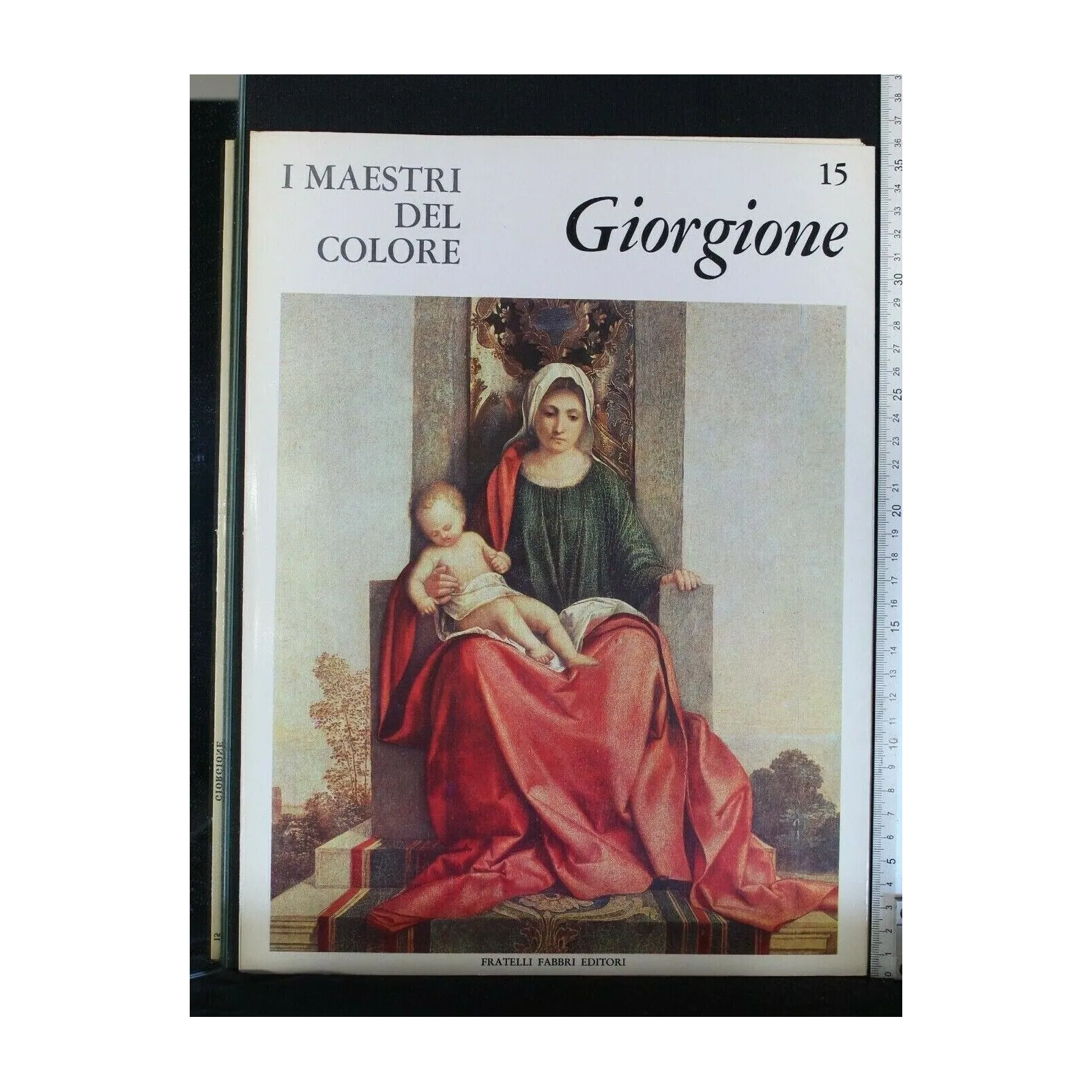 I MAESTRI DEL COLORE 15. GIORGIONE