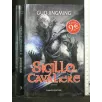 IL SIGILLO DEL CAVALIERE
