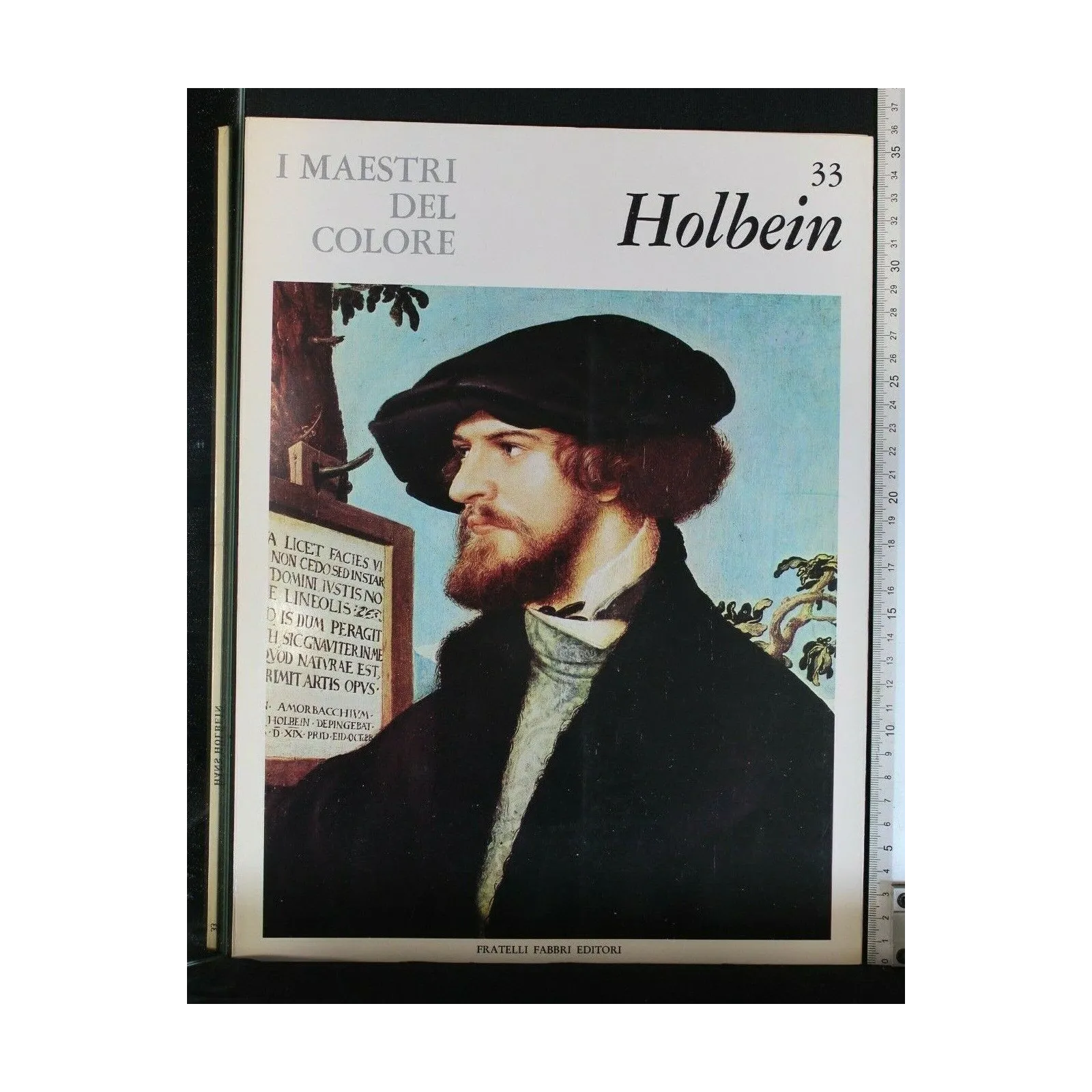I MAESTRI DEL COLORE 33. HOLBEIN