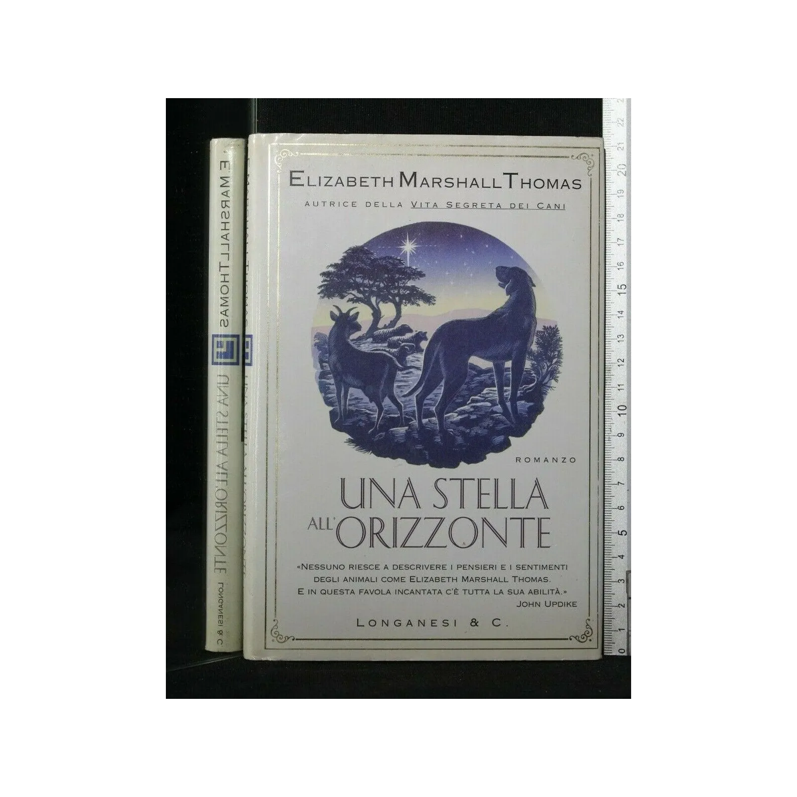 UNA STELLA ALL'ORIZZONTE