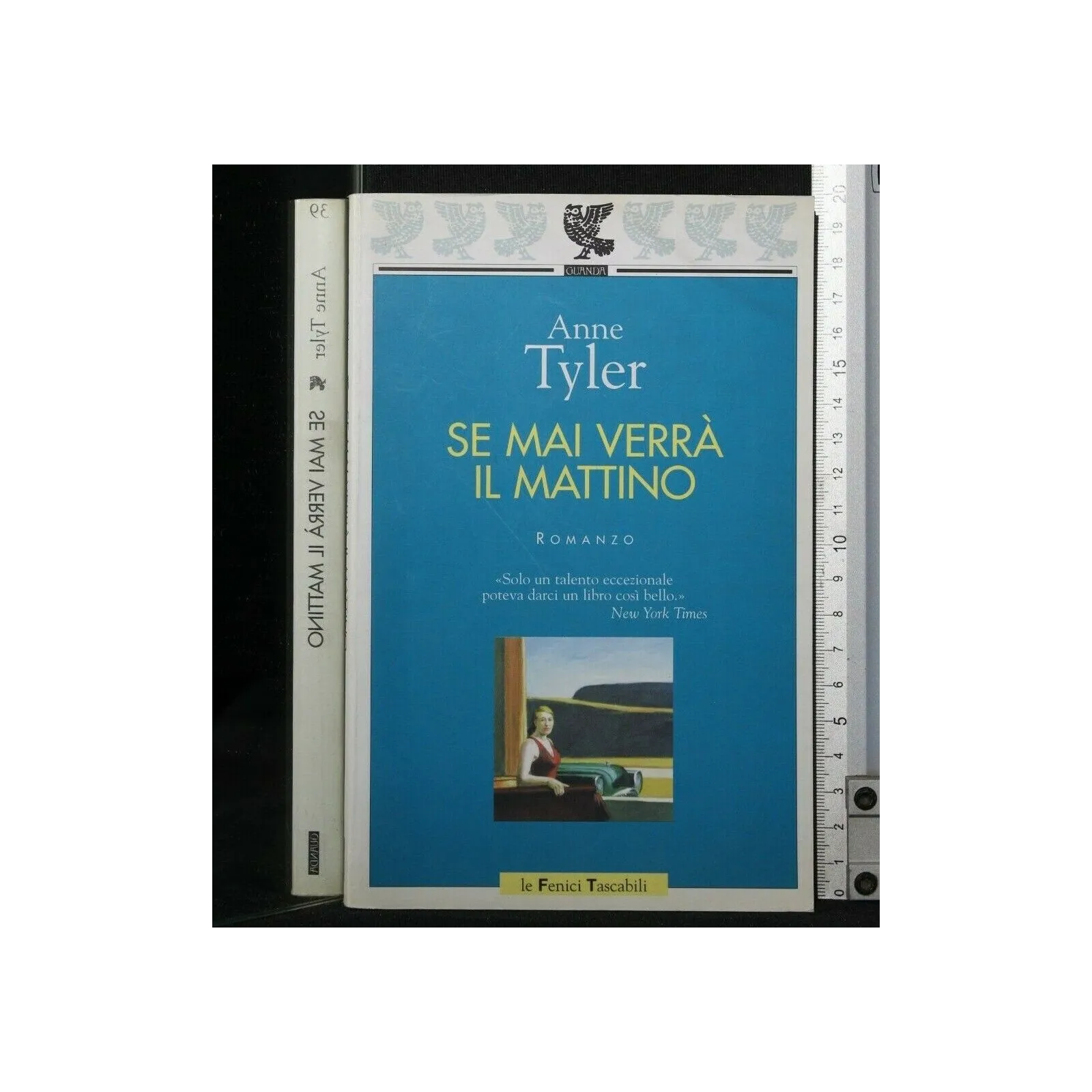 SE MAI VERRA' IL MATTINO