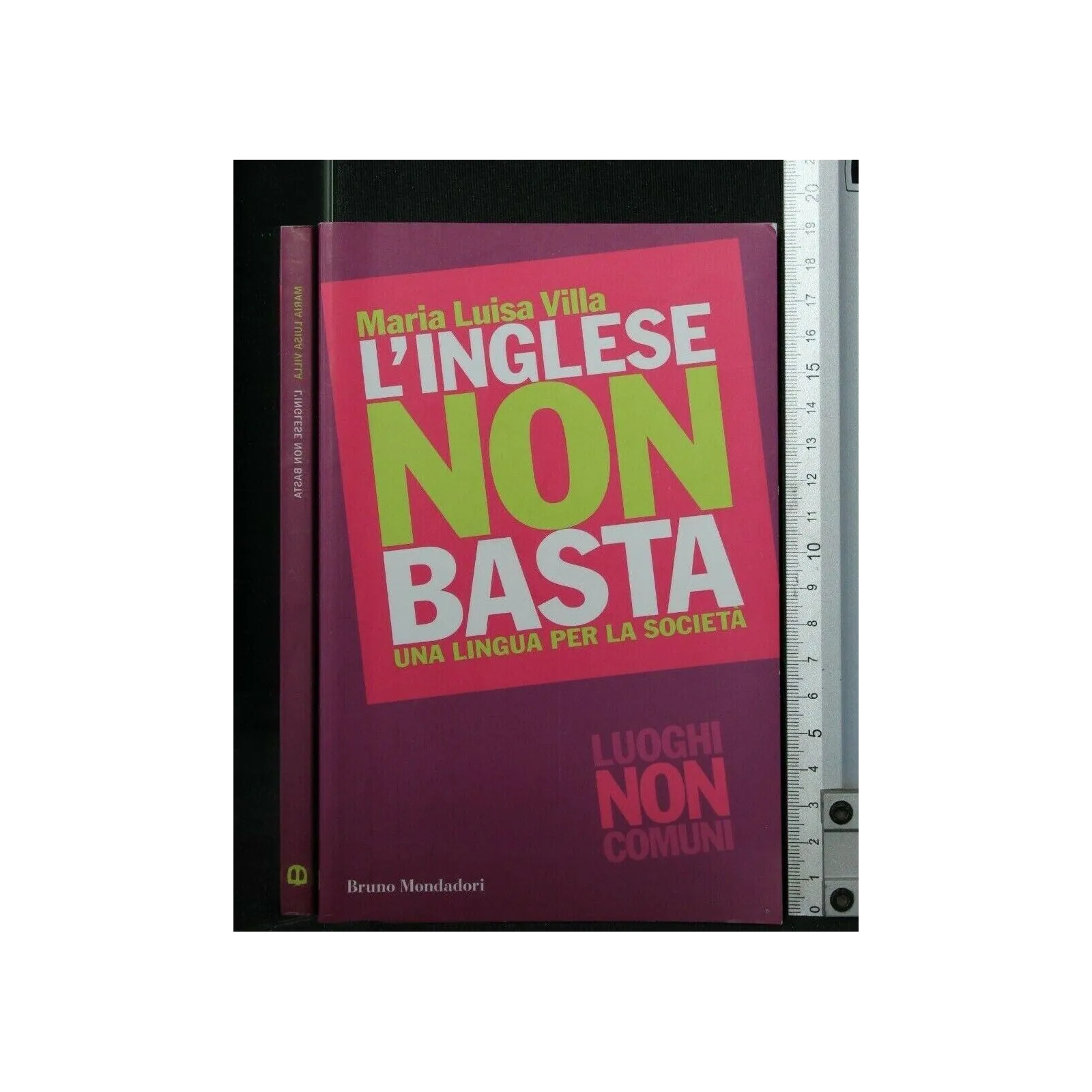 L'INGLESE NON BASTA UNA LINGUA PER LA SOCIETÀ