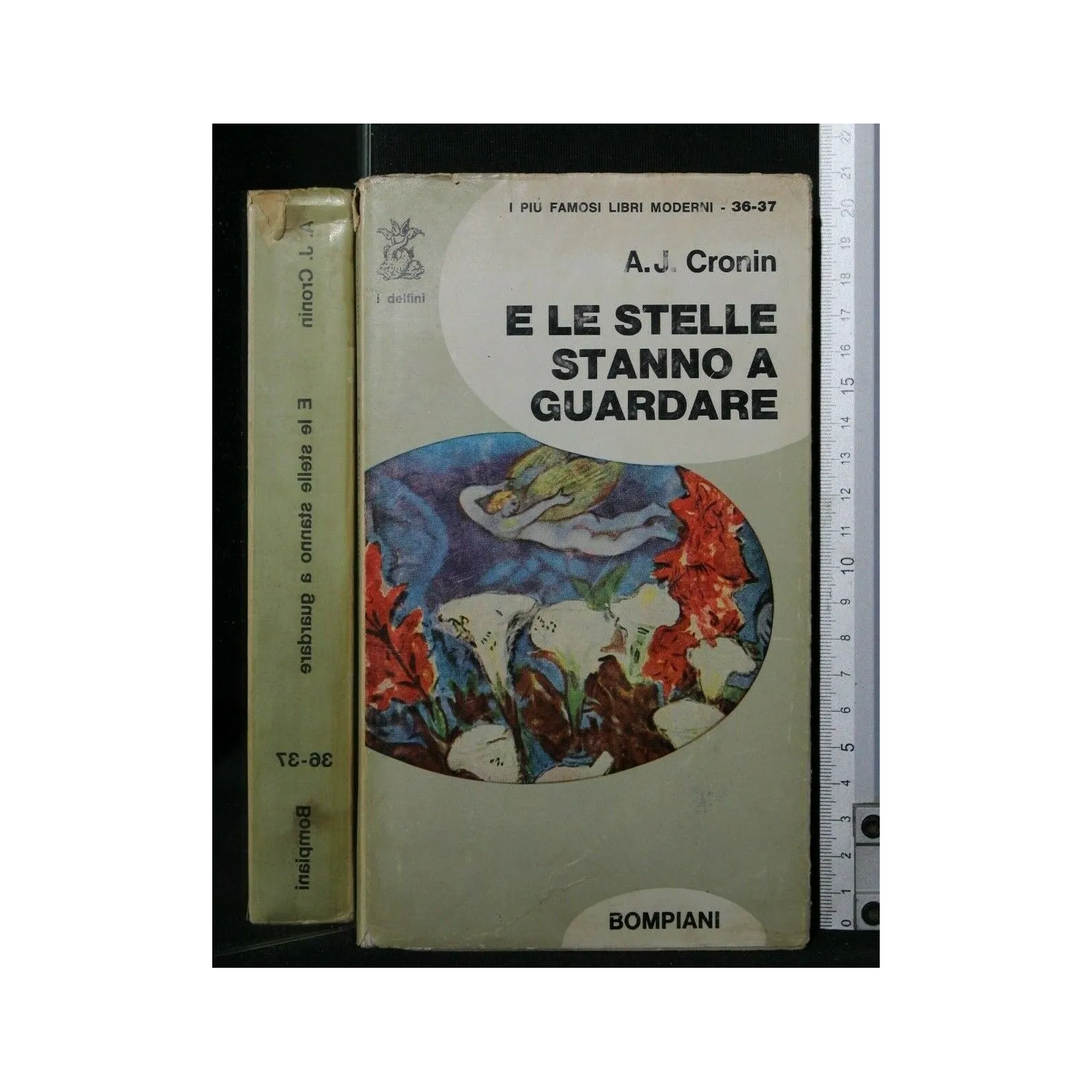 E LE STELLE STANNO A GUARDARE