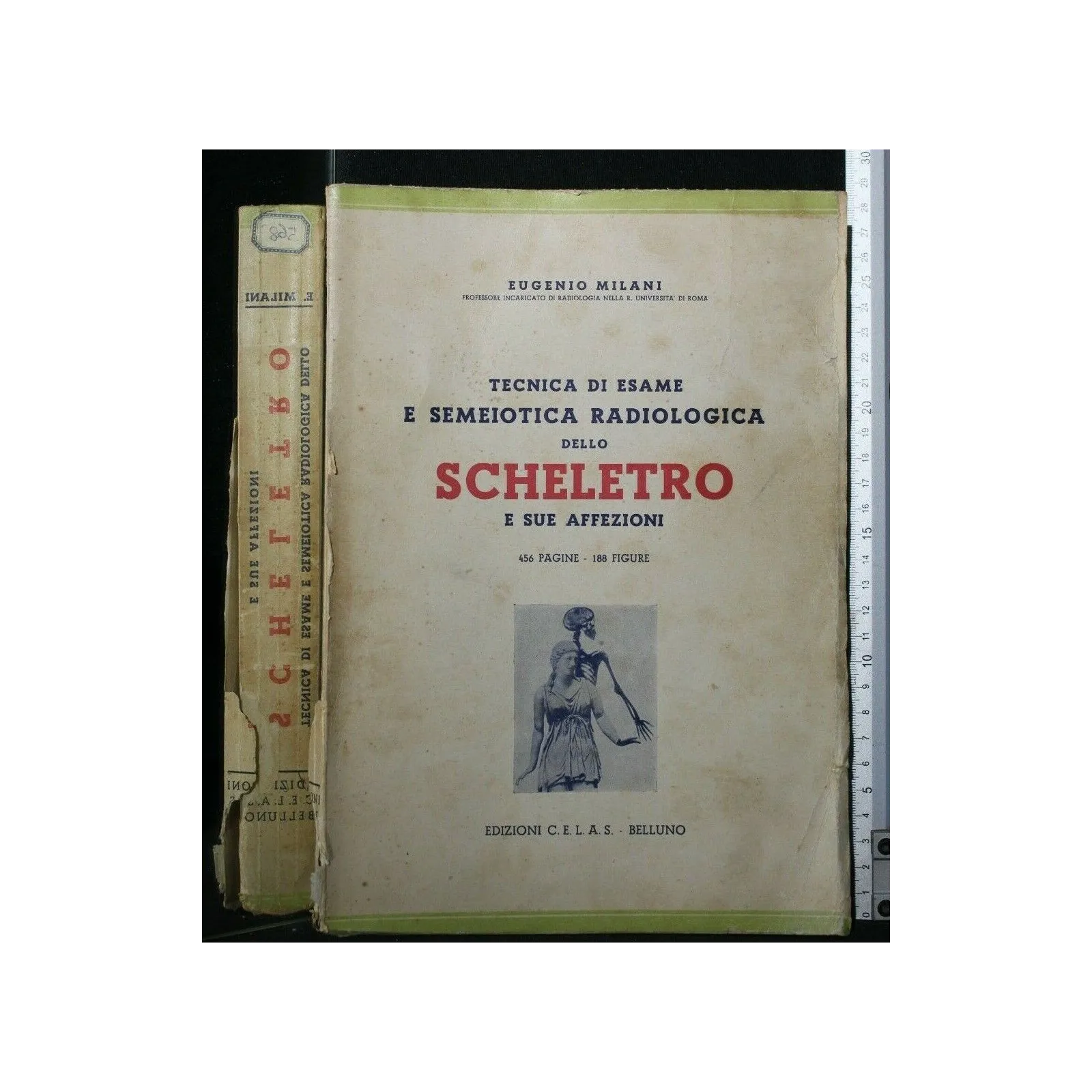 TECNICA DI ESAME E SEMEIOTICA DELLO SCHELETRO E SUE AFFEZIONI