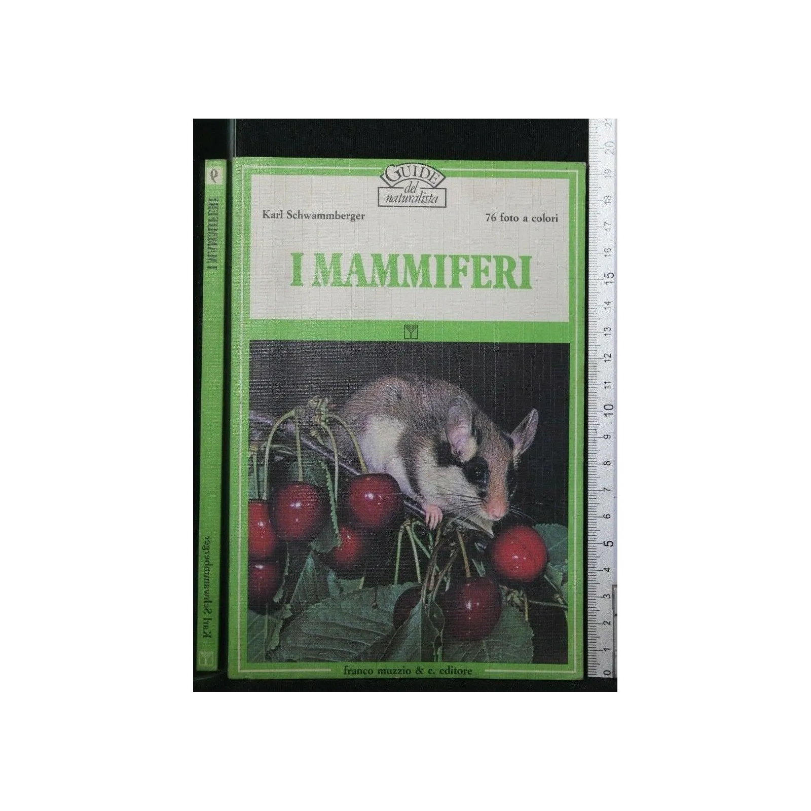 I MAMMIFERI