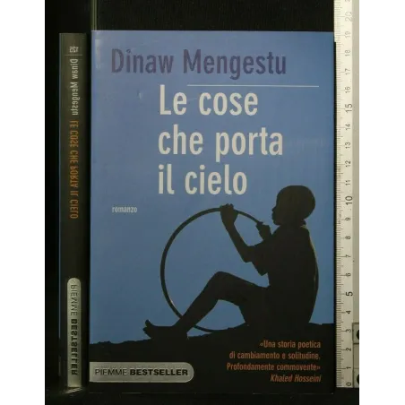 LE COSE CHE PORTA IL CIELO