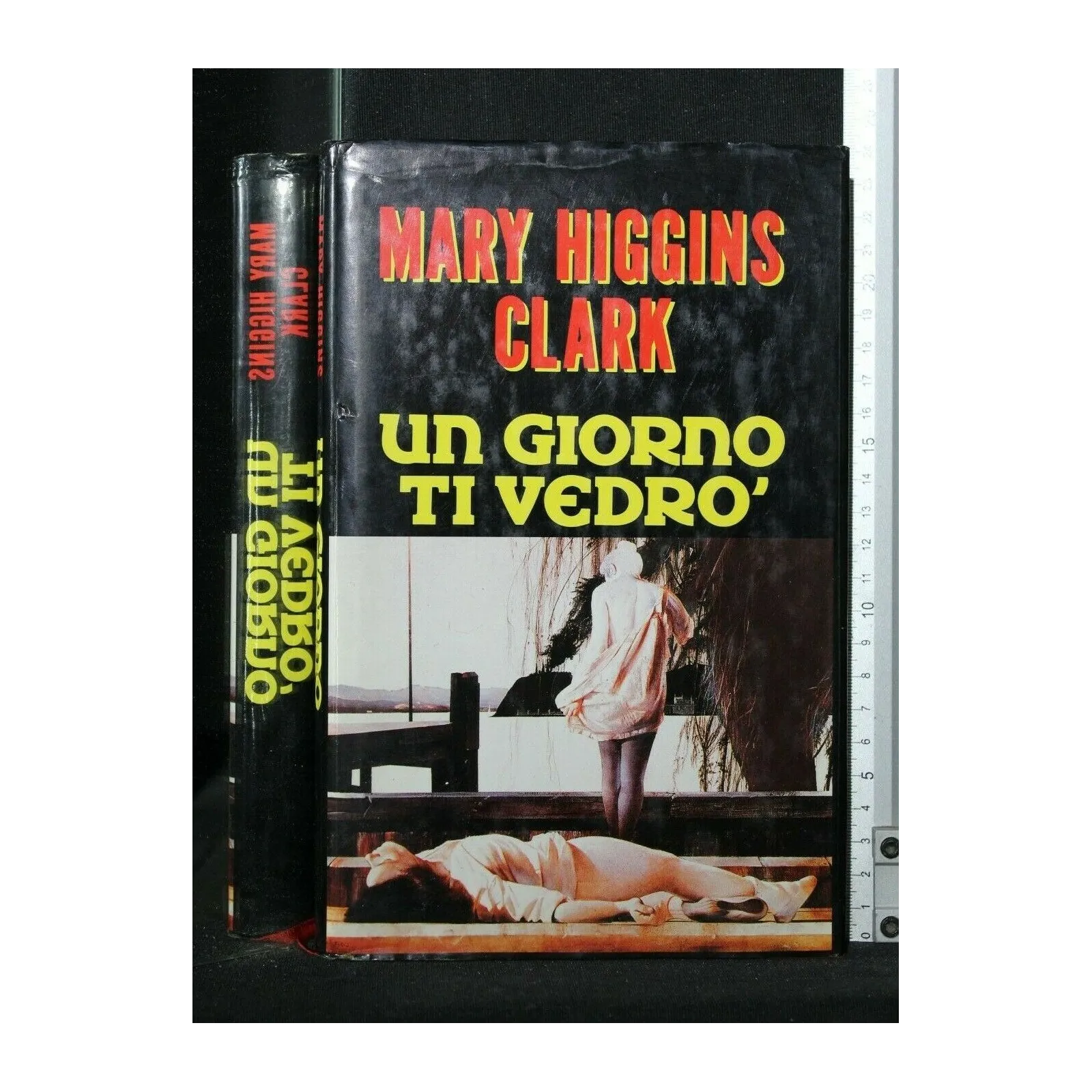 UN GIORNO TI VEDRO'