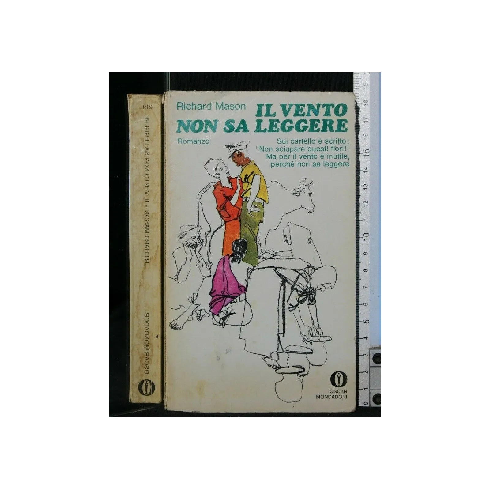 IL VENTO NON SA LEGGERE
