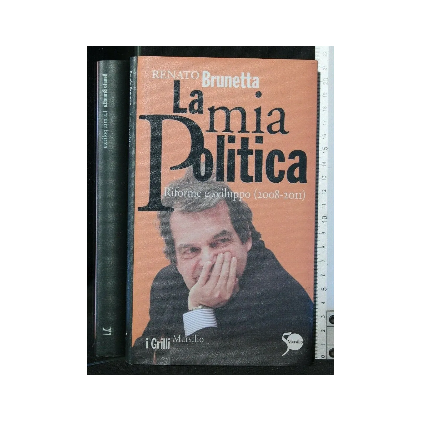 LA MI APOLITICA RIFORME E SVILUPPO (2008-2011)