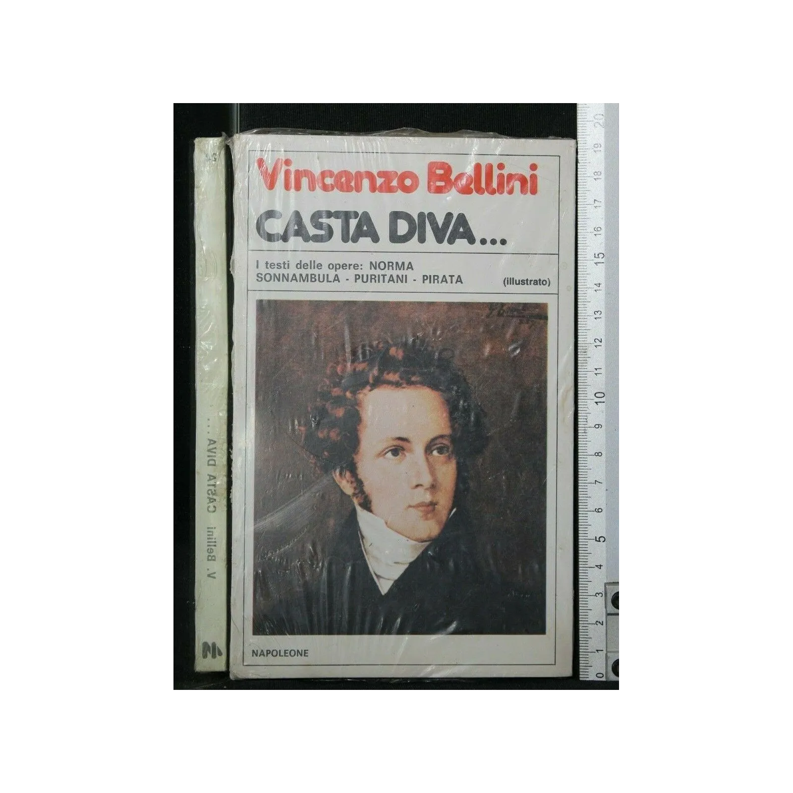 CASTA DIVA...