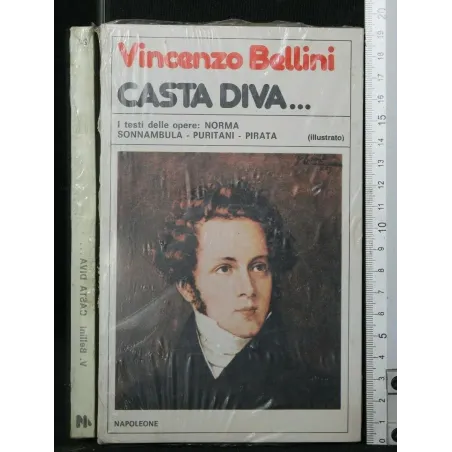 CASTA DIVA...