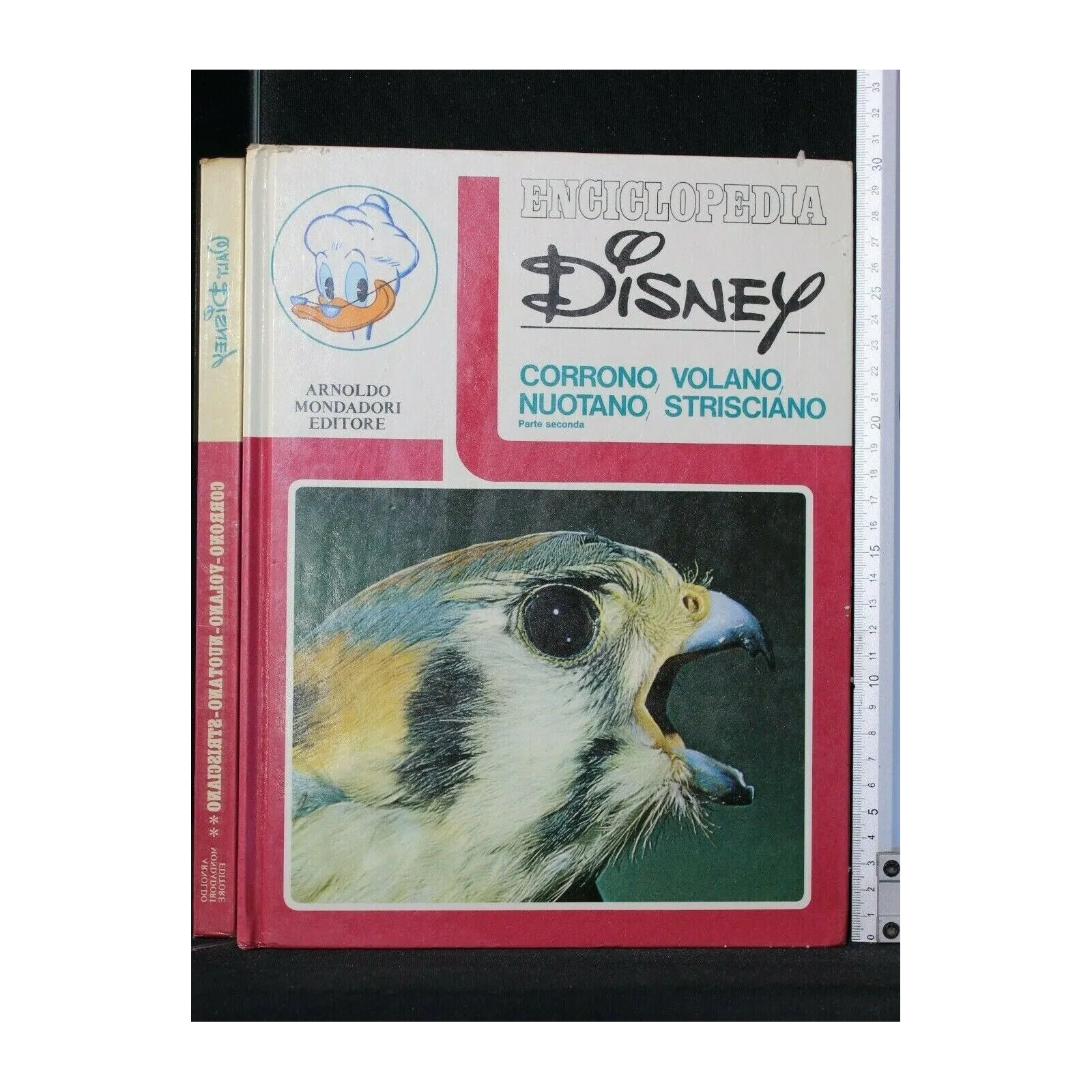 ENCICLOPEDIA DISNEY CORRONO, VOLANO, NUOTANO, STRISCIANO PARTE
