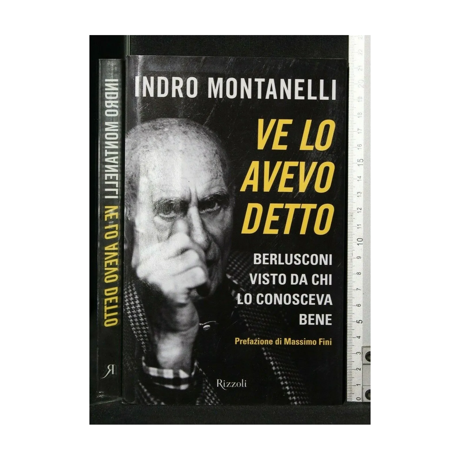 VE LO AVEVO DETTO BERLUSCONI VISTO DA CHI LO CONOSCEVA BENE